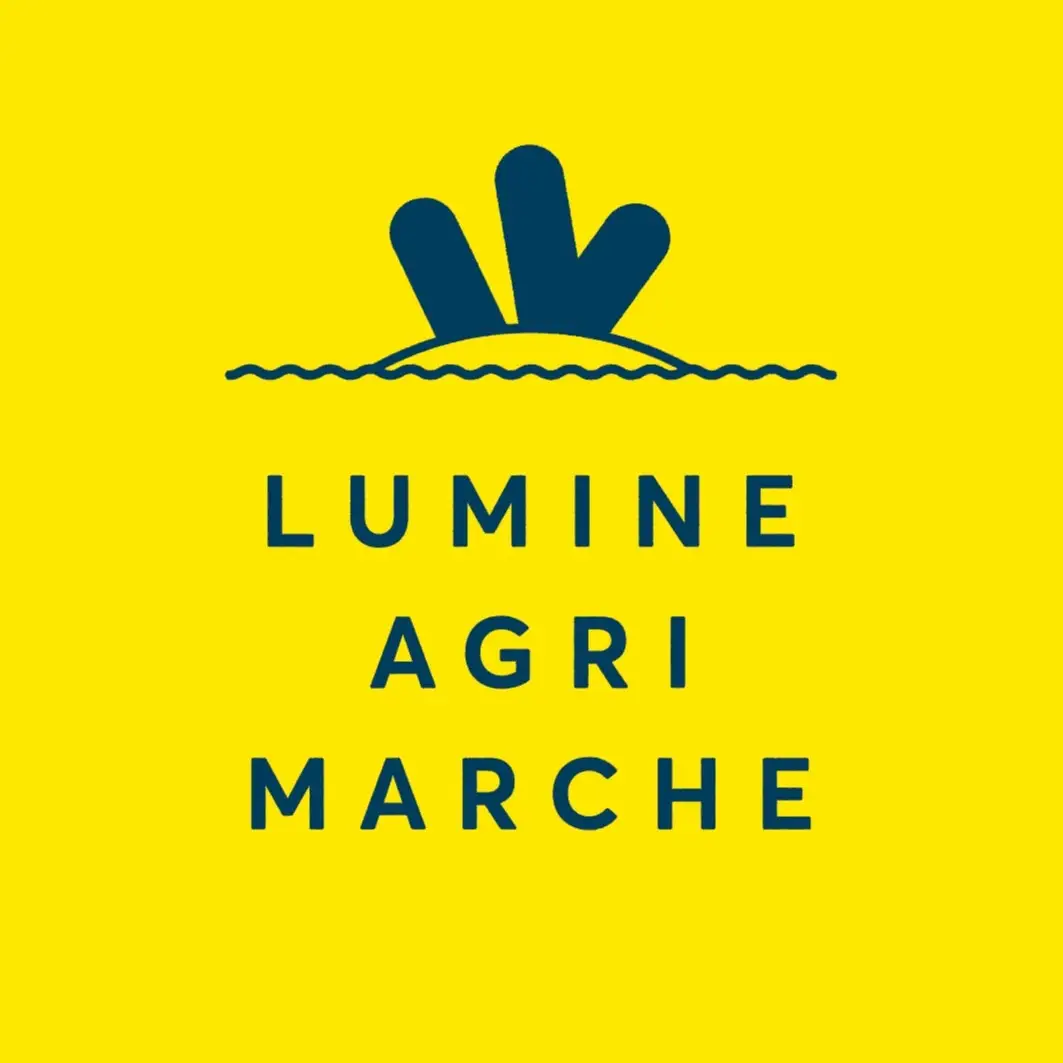 LUMINE　AGRI　PROJECT