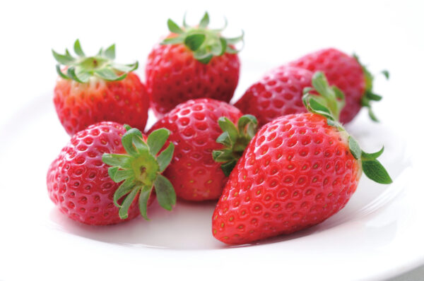 2026年2月21日(土)・2月22日(日) 横浜ベイクォーター3Fゲート広場にて 『ほこたいちごマルシェ』を限定開催します！